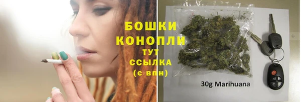 стаф Осташков