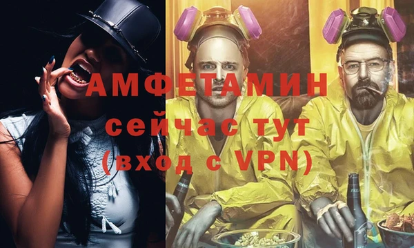 крисы Абаза