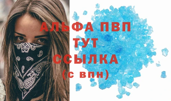 крисы Абаза