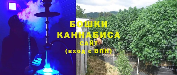 стаф Осташков