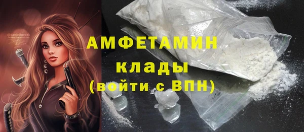 spice Болотное