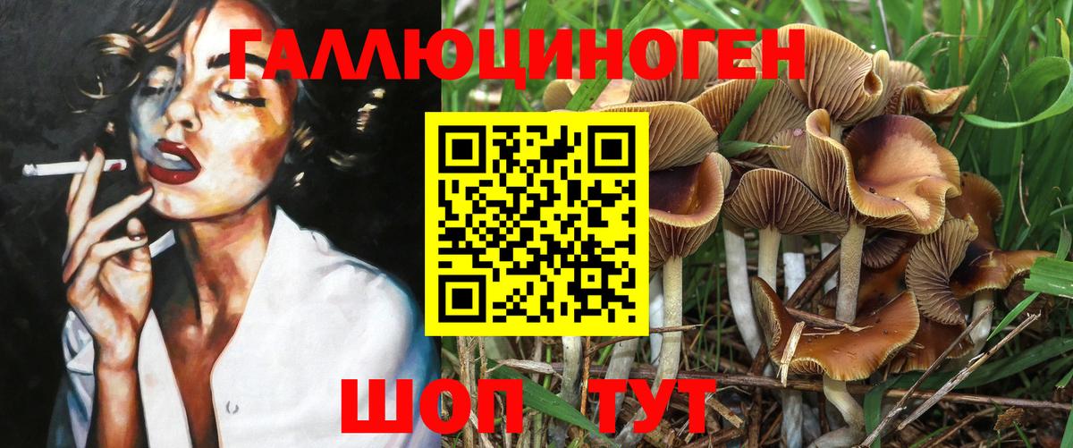 Галлюциногенные грибы Psilocybe  Псилоцибиновые грибы Psilocybine cubensis  хочу наркоту  Белогорск  Вход с VPN 